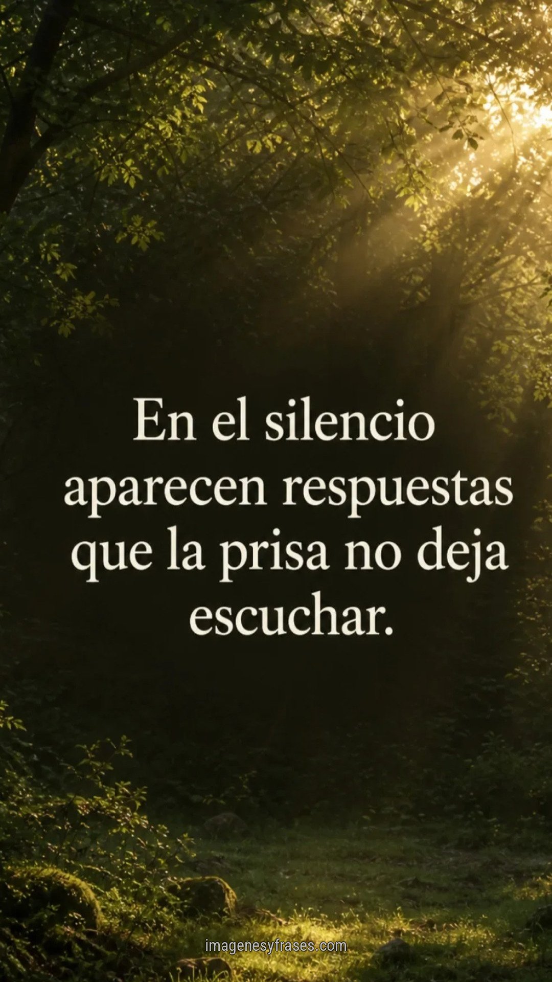 Claro oscuro en un bosque atravesado por rayos dorados de sol con una frase sobre escuchar el silencio