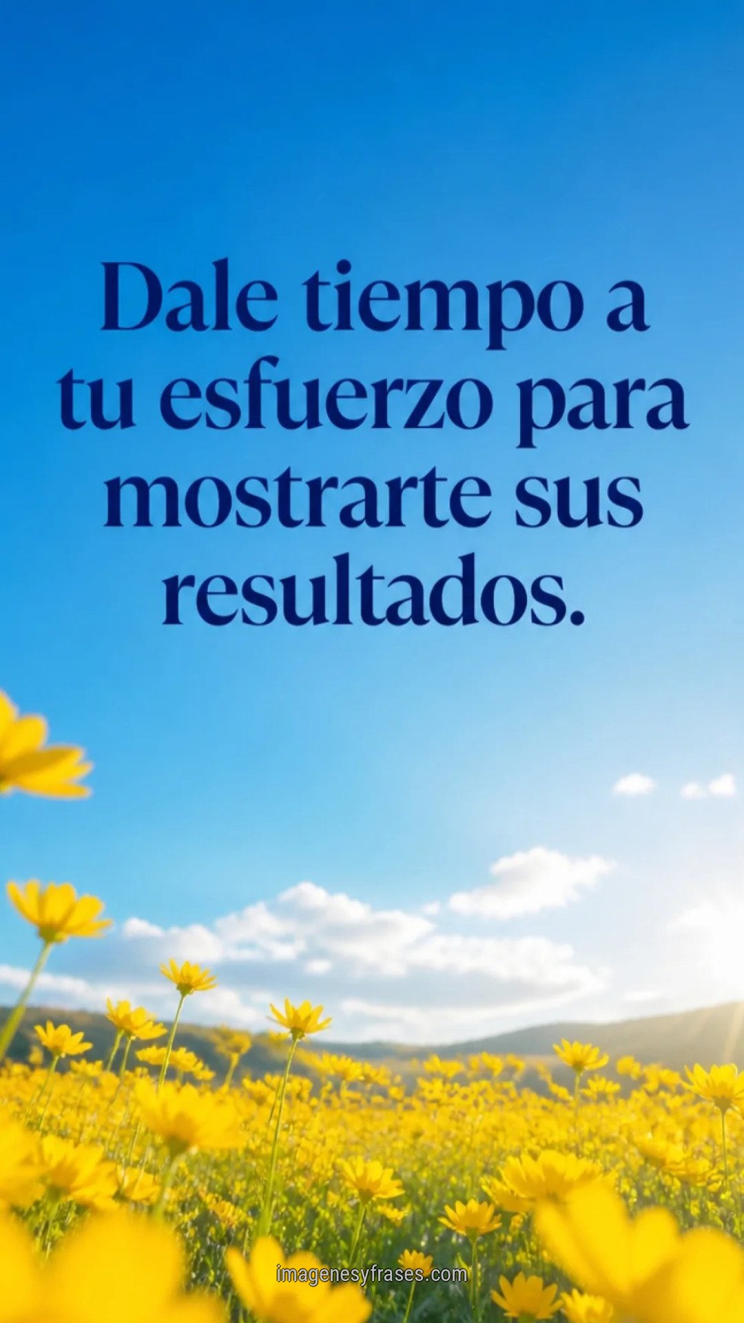 Campo amarillo de flores bajo un cielo azul brillante con una frase sobre darle tiempo al esfuerzo