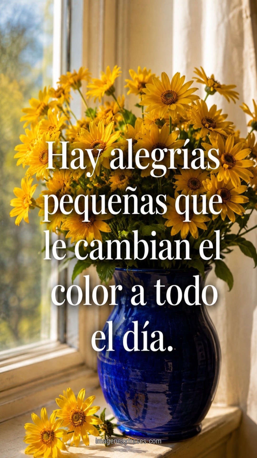 Margaritas amarillas en un florero azul junto a una ventana luminosa, con una frase sobre las pequeñas alegrías.