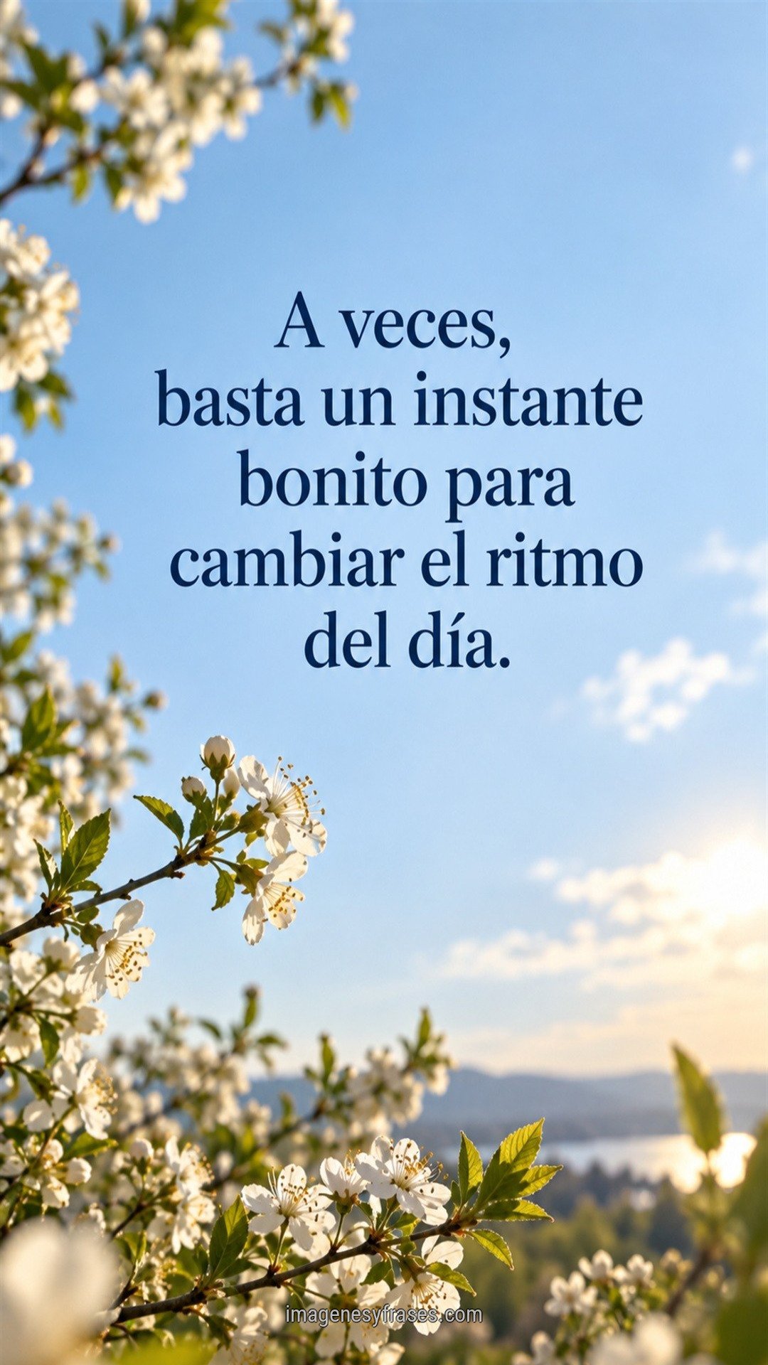 Fotografía de ramas con flores blancas frente a un cielo celeste luminoso y paisaje desenfocado, con una frase serif en azul oscuro.