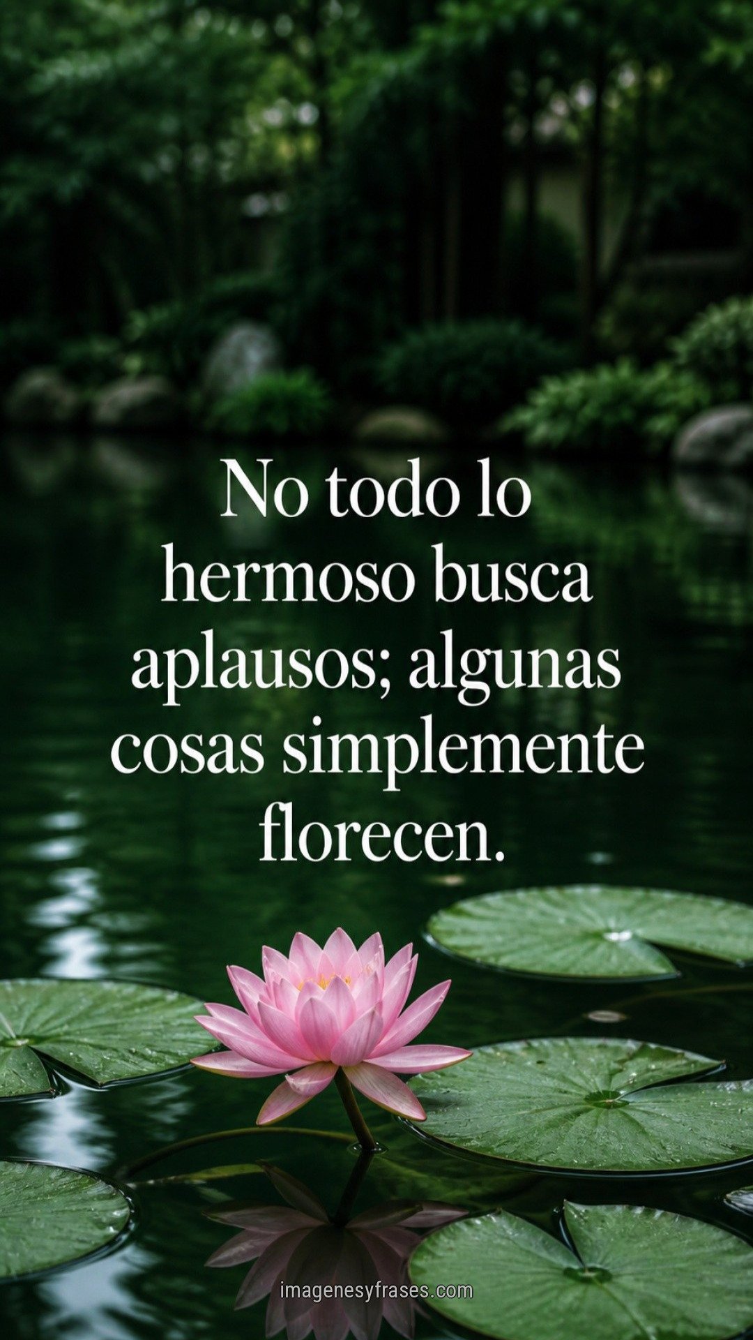 Un nenúfar rosado sobre un estanque verde con reflejos suaves y una frase sobre la belleza que no busca reconocimiento.