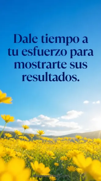 Campo amarillo de flores bajo un cielo azul brillante con una frase sobre darle tiempo al esfuerzo