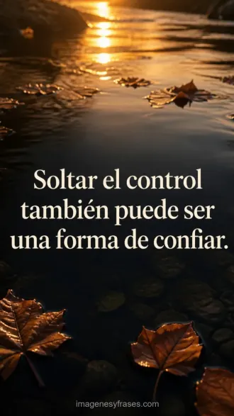 Hojas otoñales flotando en un arroyo oscuro iluminado por el atardecer con una frase sobre confiar
