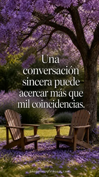 Dos sillas vacías bajo un jacarandá de flores violetas, con una frase sobre el valor de conversar con sinceridad.