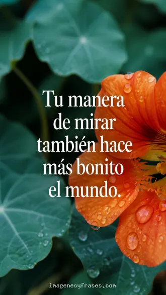 Flor anaranjada con gotas de lluvia frente a hojas verde azulado, con una frase sobre encontrar belleza desde la propia mirada.