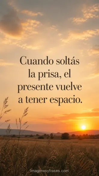 Campo de hierbas altas bajo un cielo anaranjado de atardecer con una frase sobre soltar la prisa