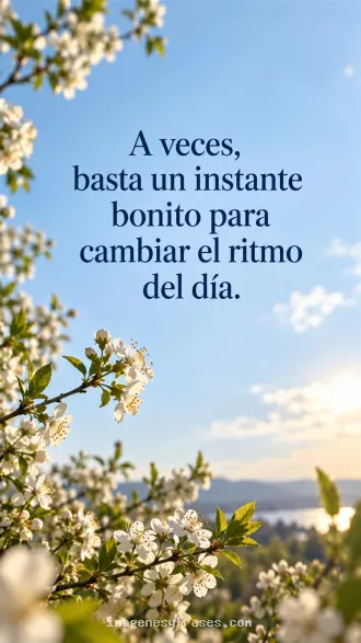 Fotografía de ramas con flores blancas frente a un cielo celeste luminoso y paisaje desenfocado, con una frase serif en azul oscuro.